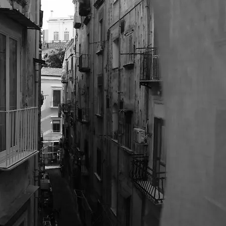 Bed and breakfast Ariel