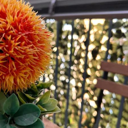 Couette-café Ariel 3*